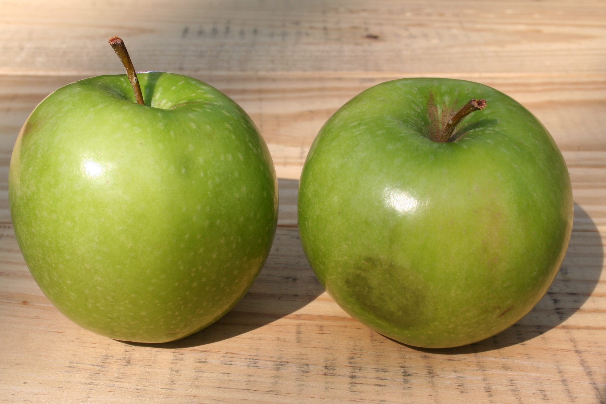 reduced price rack apples